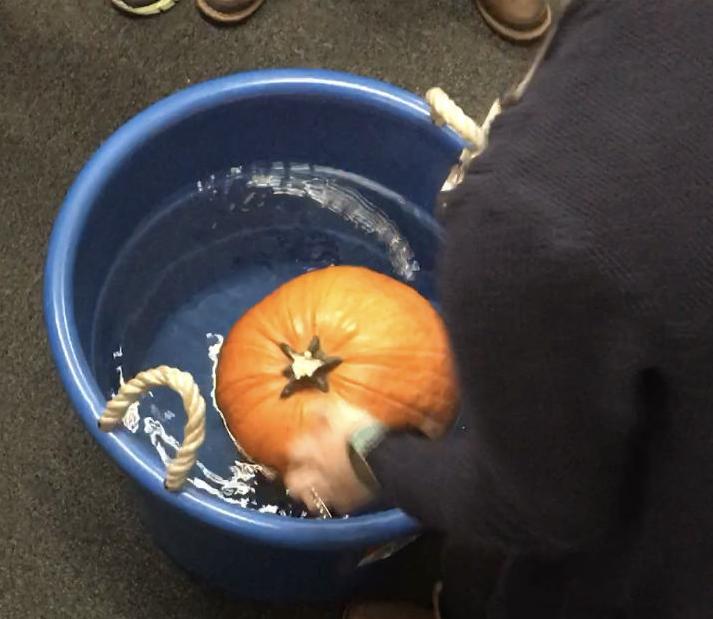 Pumpkins